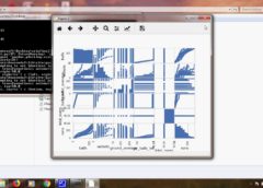 cricket score prediction using d